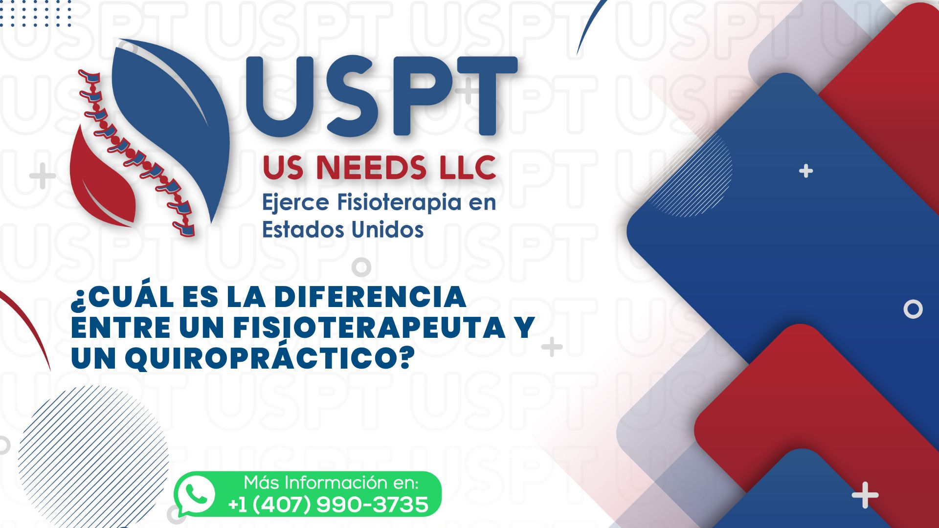 Cuál es la diferencia entre un fisioterapeuta y un quiropráctico Cuál es la diferencia entre un fisioterapeuta y un quiropráctico